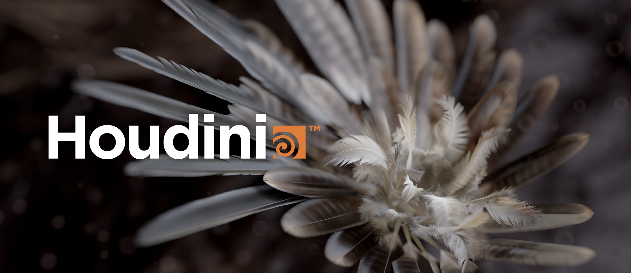 25_product_houdini_page.jpg