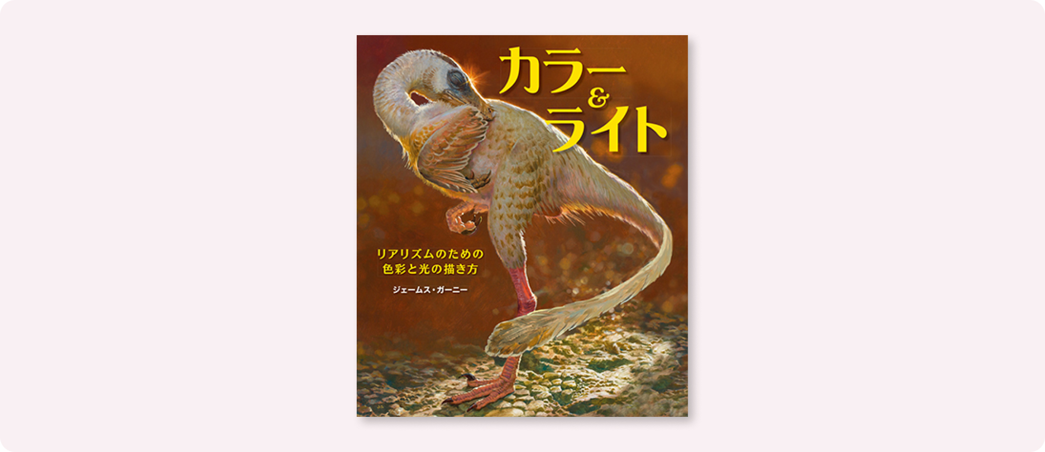 カラー&ライト | 株式会社ボーンデジタル