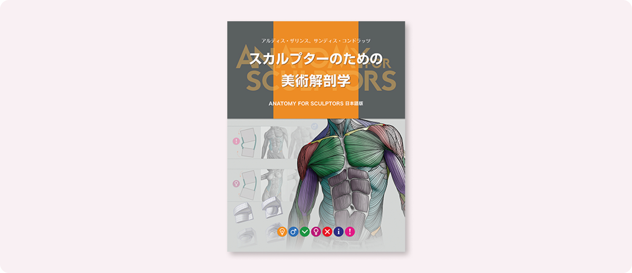 スカルプターのための美術解剖学 | 株式会社ボーンデジタル