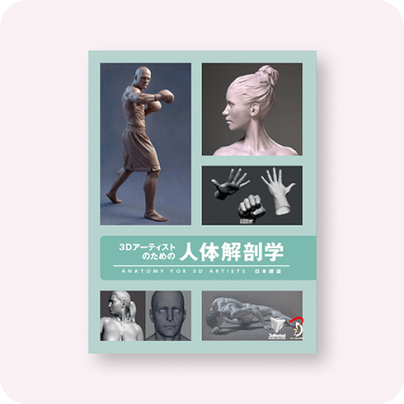 3Dアーティストのための人体解剖学