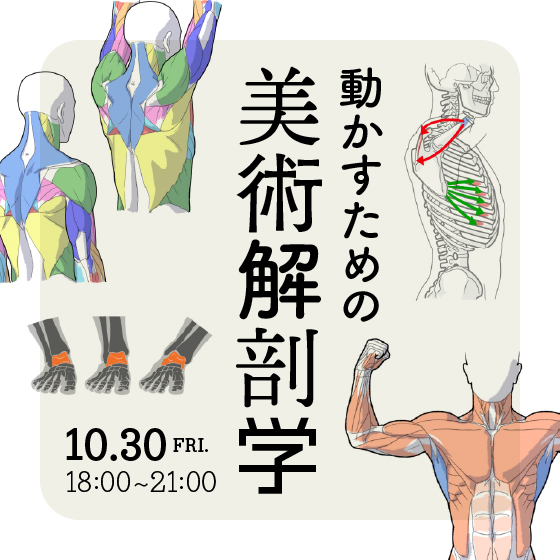 動かすための美術解剖学 ～関節と筋肉で理解する人体の動き～